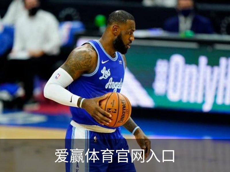 爱赢体育官网入口概况